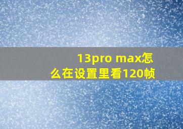 13pro max怎么在设置里看120帧